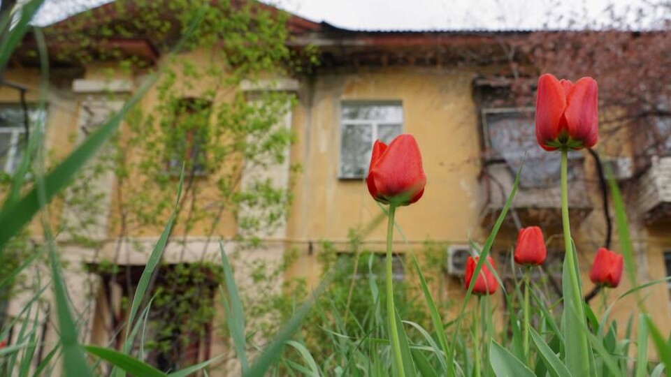 Фото Informburo.kz