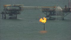 Экологи знают, как спасти Каспийское море. О чём идёт речь?