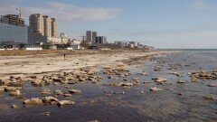 Миграция моря. Как отразится на людях и животных обмеление Каспия
