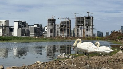 Будет ли на Малом Талдыколе город-сад? В озёра сливают канализацию и засыпают строительный мусор