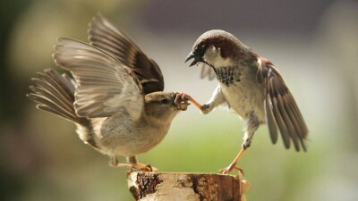 Слово – не воробей: самые нашумевшие высказывания 2022 года