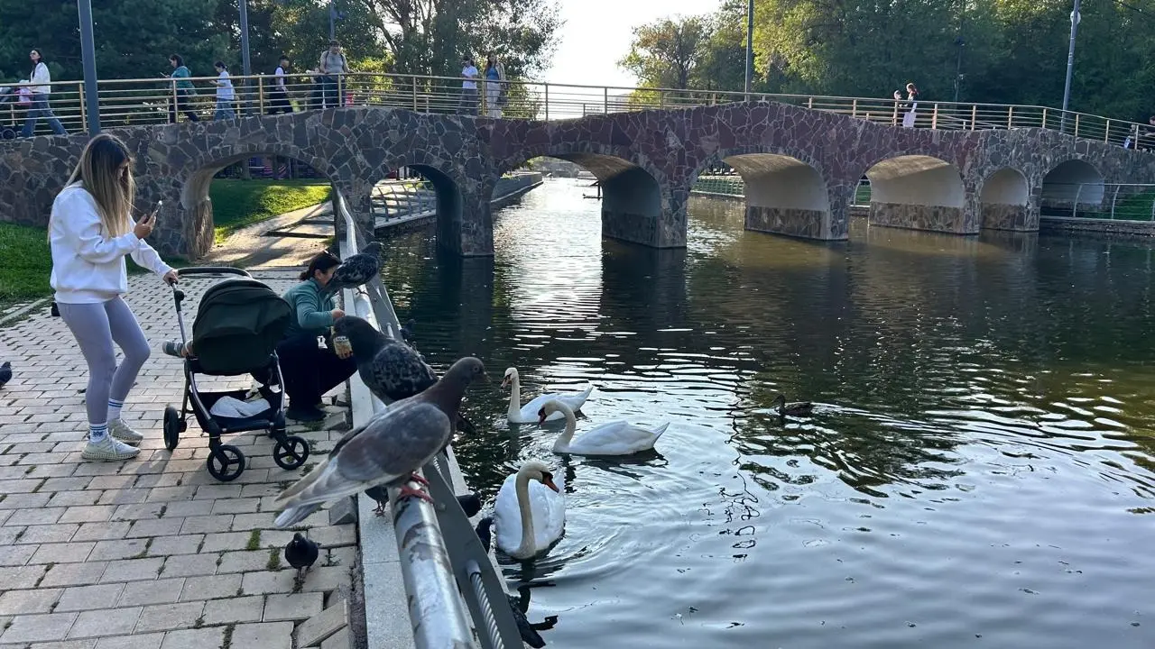 Астанчане кормят лебедей и уток в Центральном столичном парке / Фото Informburo.kz