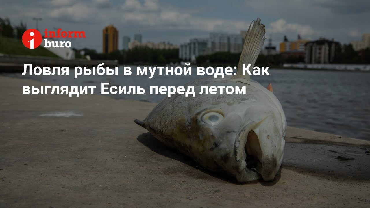 Ловля рыбы в мутной воде: Как выглядит Есиль перед летом | informburo.kz