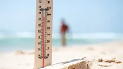 Жару до +47 градусов прогнозируют в Казахстане