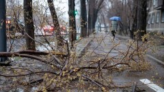 Дожди и снег прогнозируют на большей части Казахстана