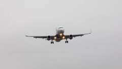 Минздрав призвал казахстанцев не ездить в Западную Африку из-за вспышки оспы обезьян
