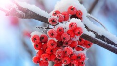 Новое похолодание несёт антициклон в Казахстан