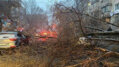 На 25 автомобилей рухнули деревья в Алматы