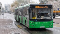Бесплатно ездить в автобусах 19 марта смогут жители Астаны и Шымкента, но не алматинцы