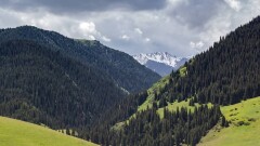 Минкультуры предлагает разрешить акиматам застраивать территорию нацпарков