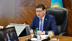 Уали призвал к детальному служебному расследованию после избиения ребёнка в Семее