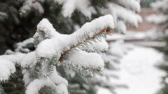 Четверть месячной нормы снега выпало в Алматы