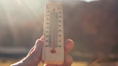 Жару до +35 градусов на выходных прогнозируют на юго-востоке Казахстана