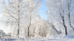 В Казахстане будет теплеть, снегопадов не ожидается