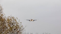 Скрывавшийся после выезда в Сирию казахстанец решил добровольно вернуться на родину