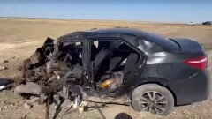 Пять человек, включая ребёнка, погибли в ДТП в Алматинской области