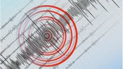 Казахстанец объяснил землетрясение "взрывом" и избежал наказания