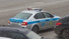 Сбежавших из спеццентра подростков нашли в Костанайской области: помог местный ветеринар