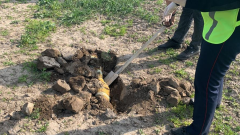 Полицейские нашли ещё два схрона с ружьями, похищенными во время январских событий