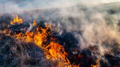Массовая гибель в горящем лесу: по делу о трагедии в "Семей орманы" вынесли приговор