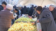 Цены на ярмарках в Казахстане обязали устанавливать ниже рыночных