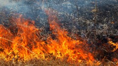 В Карагандинской области локализовали пожар, охвативший и соседний регион
