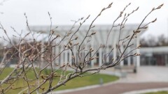 Потепление до 13 градусов тепла прогнозируют синоптики в некоторых регионах Казахстана