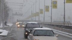 9% зарегистрированных в 2021 году автомобилей составил "серый" импорт