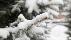 Снег и похолодание ждут казахстанцев в праздничные выходные