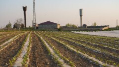 Минсельхоз: агрохимическая картограмма полей больше не требуется фермерам для получения субсидий