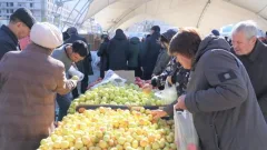 Ярмарки сельхозпродуктов из Кыргызстана планируют проводить в Казахстане