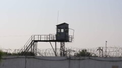 Сообщник Жомарта Ертаева вышел на свободу: в МВД раскрыли детали