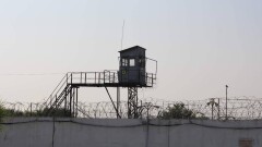 Житель ВКО получил длительный срок за пропаганду терроризма