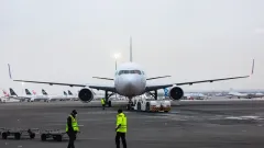 Самолёт Air Astana задержали в Алматы из-за столкновения с птицей