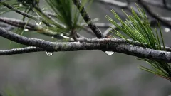 Неустойчивую погоду на выходных обещают на большей части Казахстана
