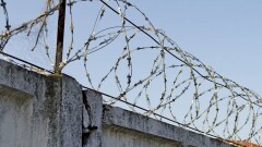 Построить забор на границе с Россией предлагают в Финляндии