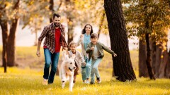 Сколько отдохнут казахстанские школьники на осенних каникулах