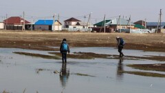 327 пострадавших от паводка получили социальную выплату в Костанайской области