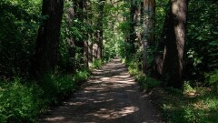Когда начнут благоустройство БАКа, рощи Баума и Терренкура в Алматы