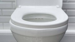 Районный акимат в Жетысуской области заплатил 29 млн тенге за несуществующие туалеты для туристов