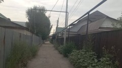 На улице, где живёт призёр Олимпиады Кызайбай, не делали ремонт – акимат Алматинской области
