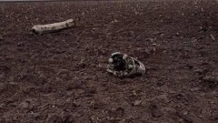 Беларусь заявила о падении украинской ракеты на своей территории