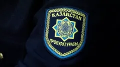 Прокуроры помогли китайскому промышленнику в Казахстане добиться кратного снижения штрафа за выбросы