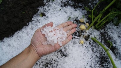 Летний град в Астане: в одном из жилых массивов начали приём документов на компенсацию