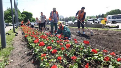 В Алматы в три раза увеличат долю высаживаемых многолетних цветов в 2023 году
