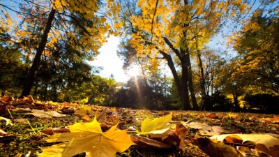 Тёплую погоду прогнозируют на большей части Казахстана в ближайшие три дня