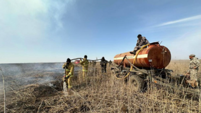 1200 гектаров горящего камыша потушили в Атырауской области