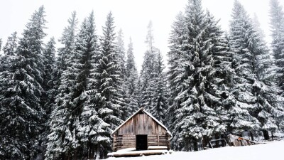 Весеннее тепло на западе, снег и морозы на юге: какой погодой Казахстан встретит март