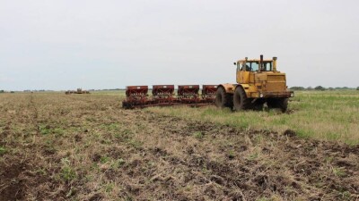 "Легче вернуть государству": Фермеры Шымкента недовольны выросшим налогом на землю