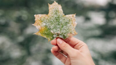 Ночные холода ожидаются на западе и юго-востоке Казахстана в выходные